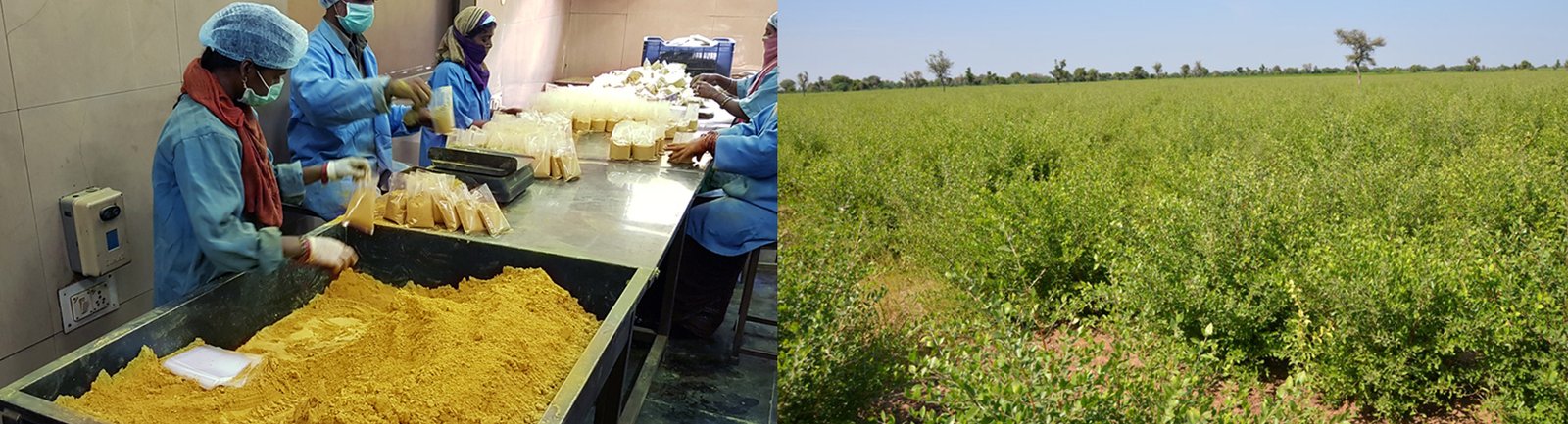 Private Labeling Banner