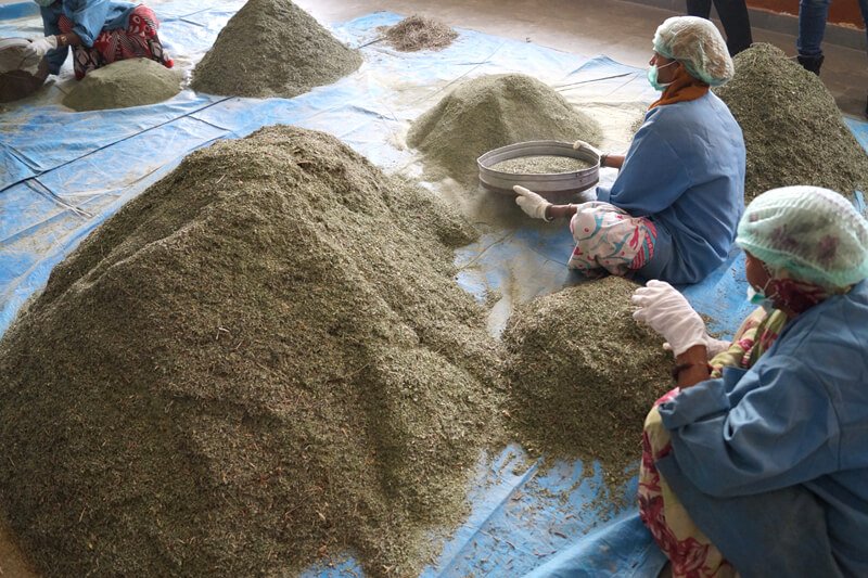 Manufacturing Unit Image 7