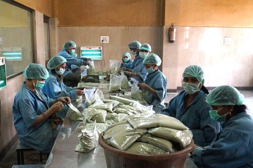 Manufacturing Unit Image 16