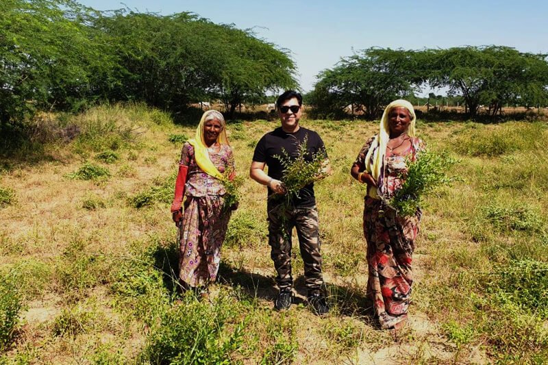 Keo Henna Field Image 14